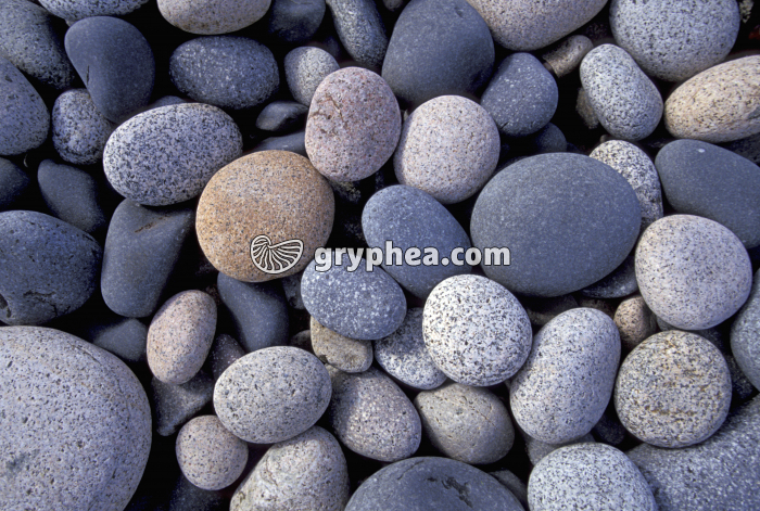 Galets granitiques - gryphea.org